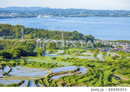 別府 内竈堂面棚田 別府 内竈堂面棚田 88996944
