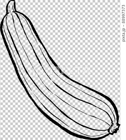 ナーベーラー（ヘチマ）_アナログ風単色線画 88997373