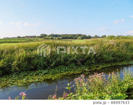 The river Aa in the german Westphalia 88997635