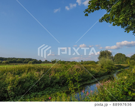 The river Aa in the german Westphalia 88997636