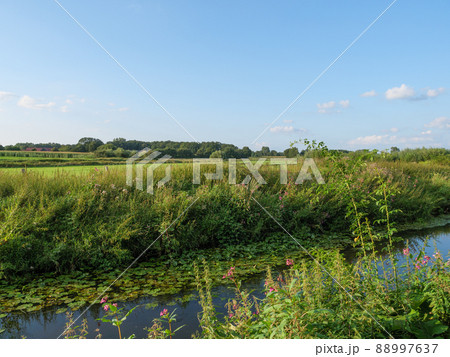 The river Aa in the german Westphalia 88997637