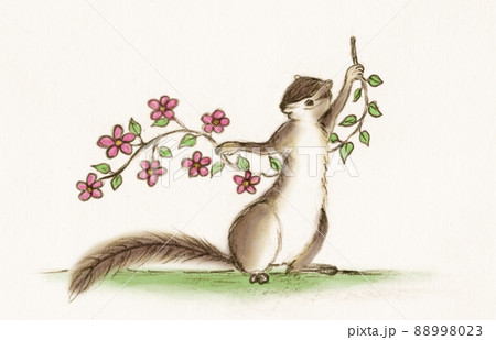 花を持ってポーズをとるリスのイラストのイラスト素材