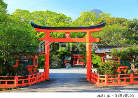 【鹿児島県】晴天下の枚聞神社と開聞岳（指宿） 88998059