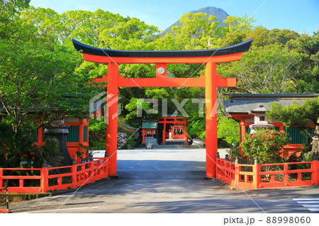 【鹿児島県】晴天下の枚聞神社と開聞岳(指宿) 【鹿児島県】晴天下の枚聞神社と開聞岳(指宿) 88998060