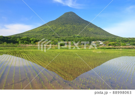 【鹿児島県】晴天下の逆さ開聞岳(指宿) 【鹿児島県】晴天下の逆さ開聞岳(指宿) 88998063