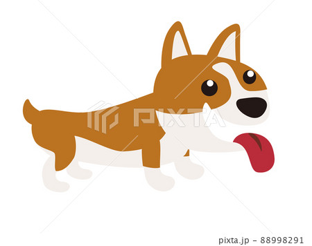 コーギー犬（ウェルシュ・コーギー・ペンブローク）のシンプルなイラスト 88998291