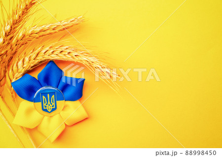 Yellow blue background. Ukrainian flower trident symbol with wheat grain ear isolated on yellow banner. Support Ukraine concept. 88998450