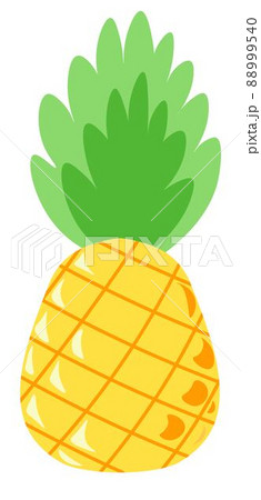 Pineapple tasty tropical and exotic fruit leaf 88999540