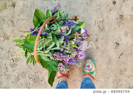Spring fresh flowers in basket on ground with legs close up, top view Spring fresh flowers in basket on ground with legs close up, top view 88999709