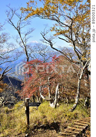 丹沢山地の石棚山稜　紅葉の檜洞丸より富士山を望む 89000321