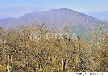 丹沢の大笄より望む大室山 89000340