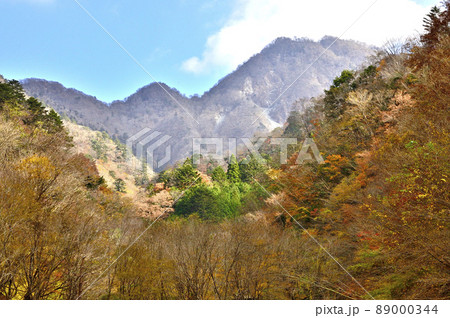 西丹沢の紅葉　用木沢より大笄と小笄を眺める 89000344