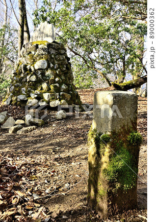 丹沢の頂　西丹沢の畦ヶ丸山頂の三角点 89000362