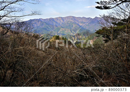 丹沢の大山三峰山より丹沢の山並 89000373
