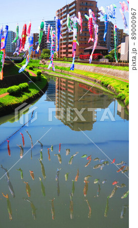 第21回川口芝川鯉のぼり祭り2022（2022年4月撮影） 89000967