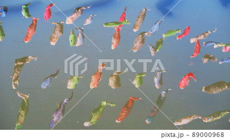 第21回川口芝川鯉のぼり祭り2022（2022年4月撮影） 89000968