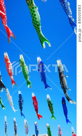 第21回川口芝川鯉のぼり祭り2022(2022年4月撮影) 第21回川口芝川鯉のぼり祭り2022(2022年4月撮影) 89000983
