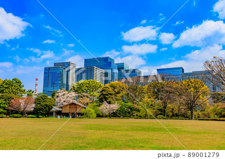 東京 千代田区 皇居にある江戸城本丸跡とビル群 東京 千代田区 皇居にある江戸城本丸跡とビル群 89001279