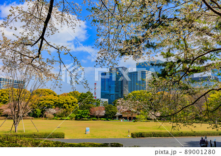 東京 千代田区 皇居にある江戸城本丸跡とビル群 東京 千代田区 皇居にある江戸城本丸跡とビル群 89001280
