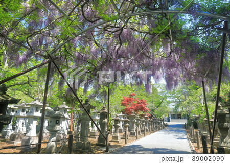 【鹿児島県】新緑の知覧平和公園 【鹿児島県】新緑の知覧平和公園 89002090