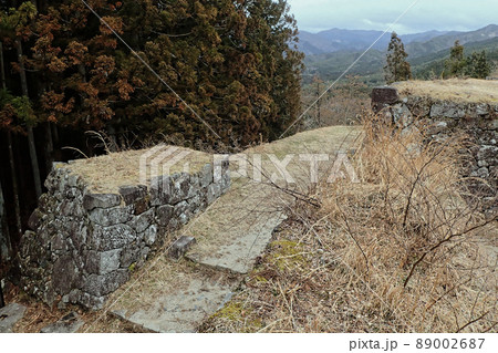 山城 岩村城址 山城 岩村城址 89002687