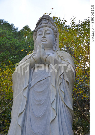 手を合わせる観音様の像 89003119