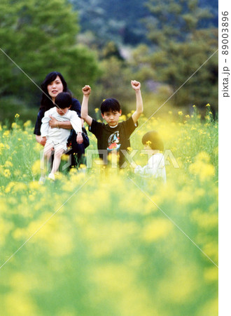 平成568 平成568 89003896