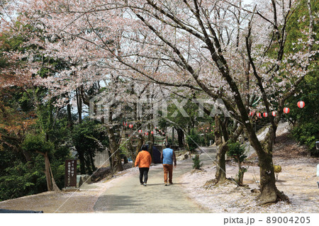 吉野川中流域、春の「美濃田の淵」（徳島県東みよし町） 89004205