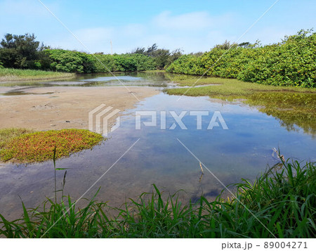 景色 風景 旧跡 89004271