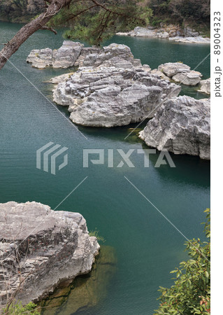 吉野川中流域、「美濃田の淵」（徳島県東みよし町） 89004323
