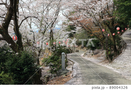 吉野川中流域、春の「美濃田の淵」（徳島県東みよし町） 89004326