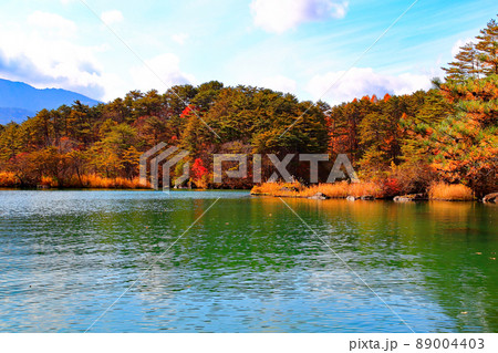 五色沼 毘沙門沼の紅葉 五色沼 毘沙門沼の紅葉 89004403