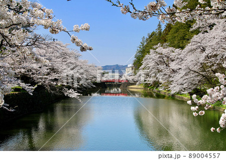 上杉神社の桜・菱門橋（山形県・米沢市） 89004557