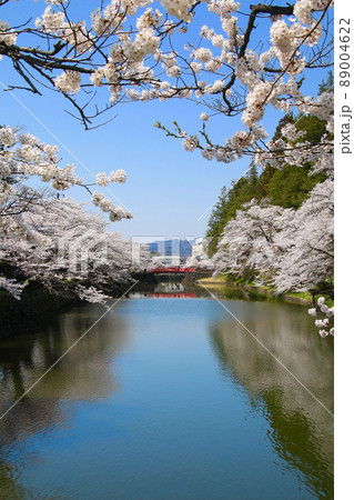 上杉神社の桜・菱門橋（山形県・米沢市） 89004622
