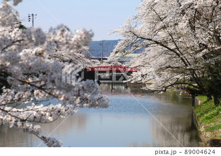 上杉神社の桜・菱門橋（山形県・米沢市） 89004624