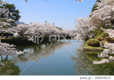 上杉神社の桜・菱門橋(山形県・米沢市) 上杉神社の桜・菱門橋(山形県・米沢市) 89004625
