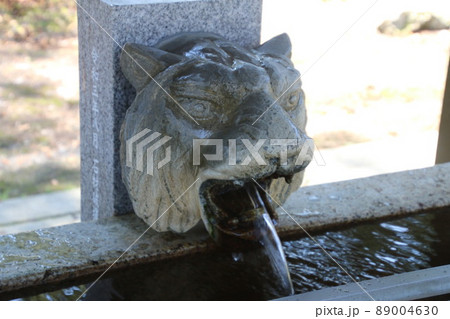 上杉神社・手水舎の虎(山形県・米沢市) 上杉神社・手水舎の虎(山形県・米沢市) 89004630