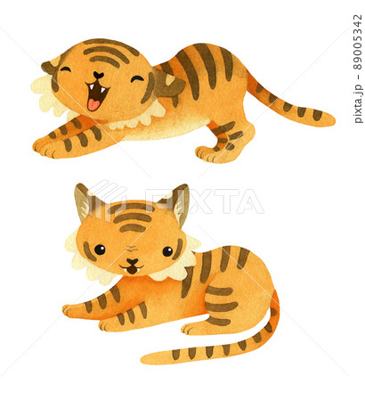 Watercolor cute little Tiger. Isolated on white background 89005342
