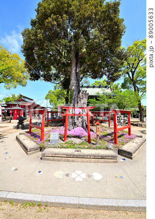 筑後市　恋木神社 89005633