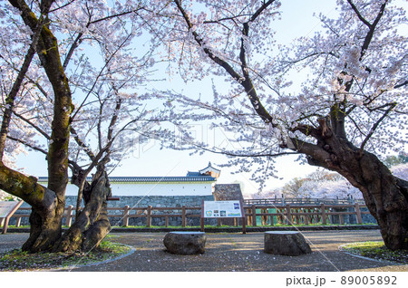 霞城公園清々しい朝 春 山形県 霞城公園清々しい朝 春 山形県 89005892