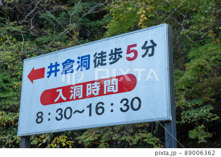 風光明媚な景勝地「秋の井倉峡」 89006362