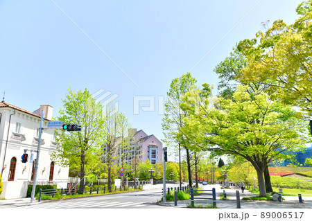 長池見附橋/長池公園周辺の風景(東京都八王子市)【2022.4】 長池見附橋/長池公園周辺の風景(東京都八王子市)【2022.4】 89006517