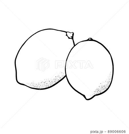 ふたつのレモンのシンプルな線画イラスト(線のみ) ふたつのレモンのシンプルな線画イラスト(線のみ) 89006606