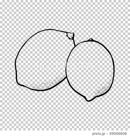 兩個檸檬的簡單線條畫插圖（僅線條） 89006606