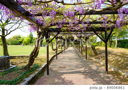 福井県越前市 紫式部公園 福井県越前市 紫式部公園 89006861