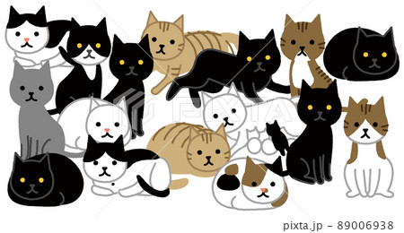 多頭飼育崩壊 密集した猫 多頭飼育崩壊 密集した猫 89006938