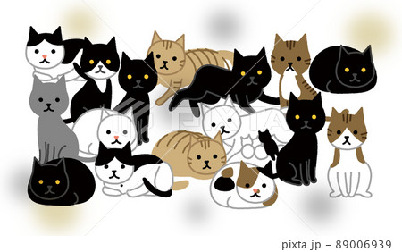 多頭飼育崩壊 密集した猫 多頭飼育崩壊 密集した猫 89006939