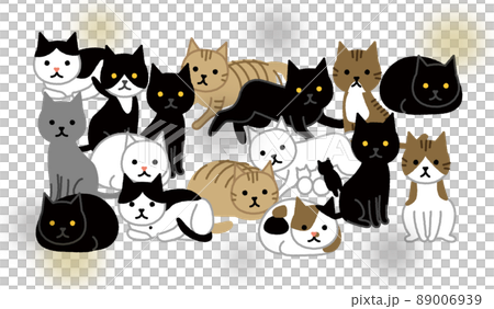 多頭飼育崩壊 密集した猫 多頭飼育崩壊 密集した猫 89006939