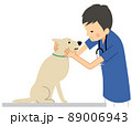 犬を診察する獣医師 89006943