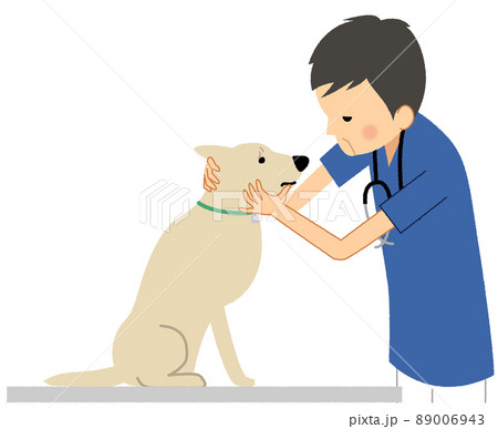 犬を診察する獣医師 89006943